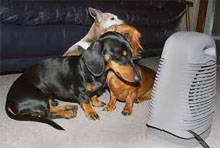 Safe Electric Heaters Safe Electric Heaters